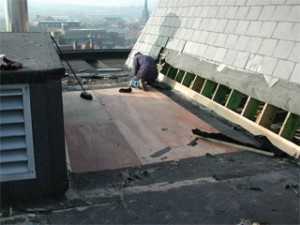 roof7