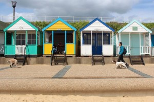 beach huts copyright Thornypup