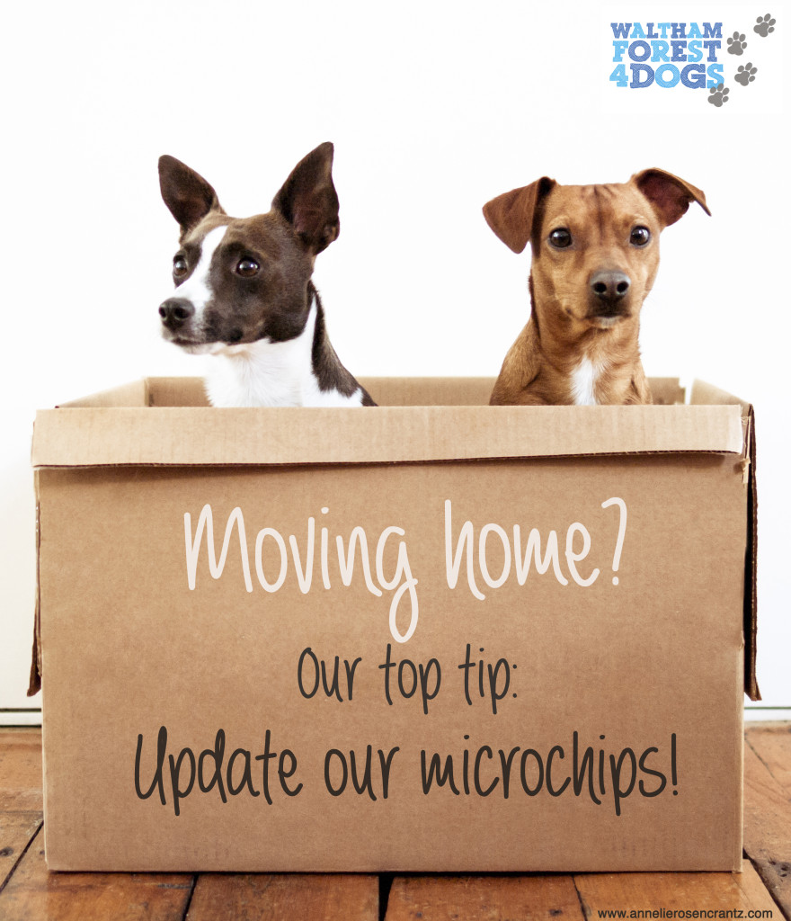 Update our microchips